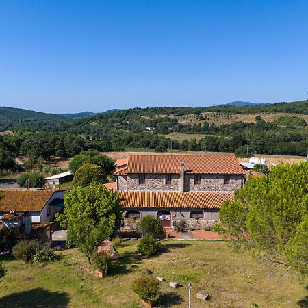 Agriturismo Tenuta Sant'Agnese Monteverdi Marittimo Ngoại thất bức ảnh