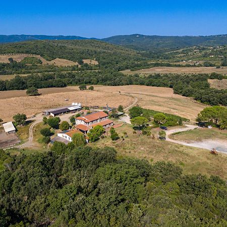 Agriturismo Tenuta Sant'Agnese Monteverdi Marittimo Ngoại thất bức ảnh