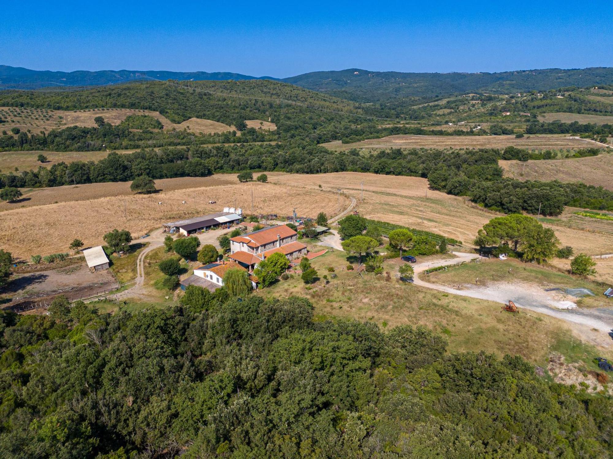 Agriturismo Tenuta Sant'Agnese Monteverdi Marittimo Ngoại thất bức ảnh